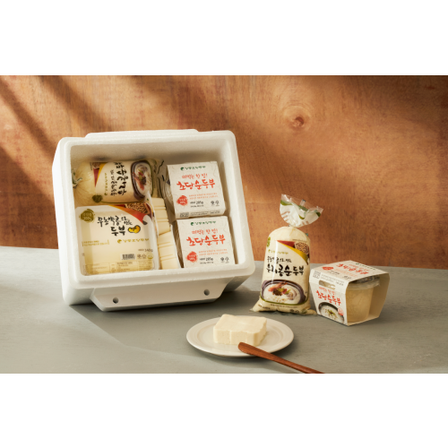 오늘N 오늘 대공개 강릉 초당두부 순두부 제조 공장