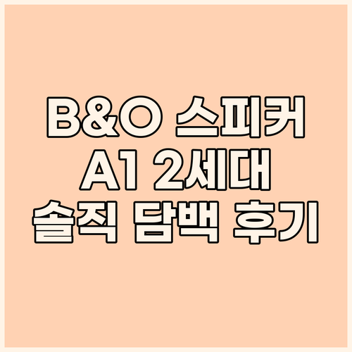 뱅앤올룹슨 베오플레이 A1 2세대 솔..