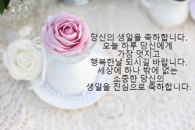 생일축하 메세지 문자 카톡 모음16