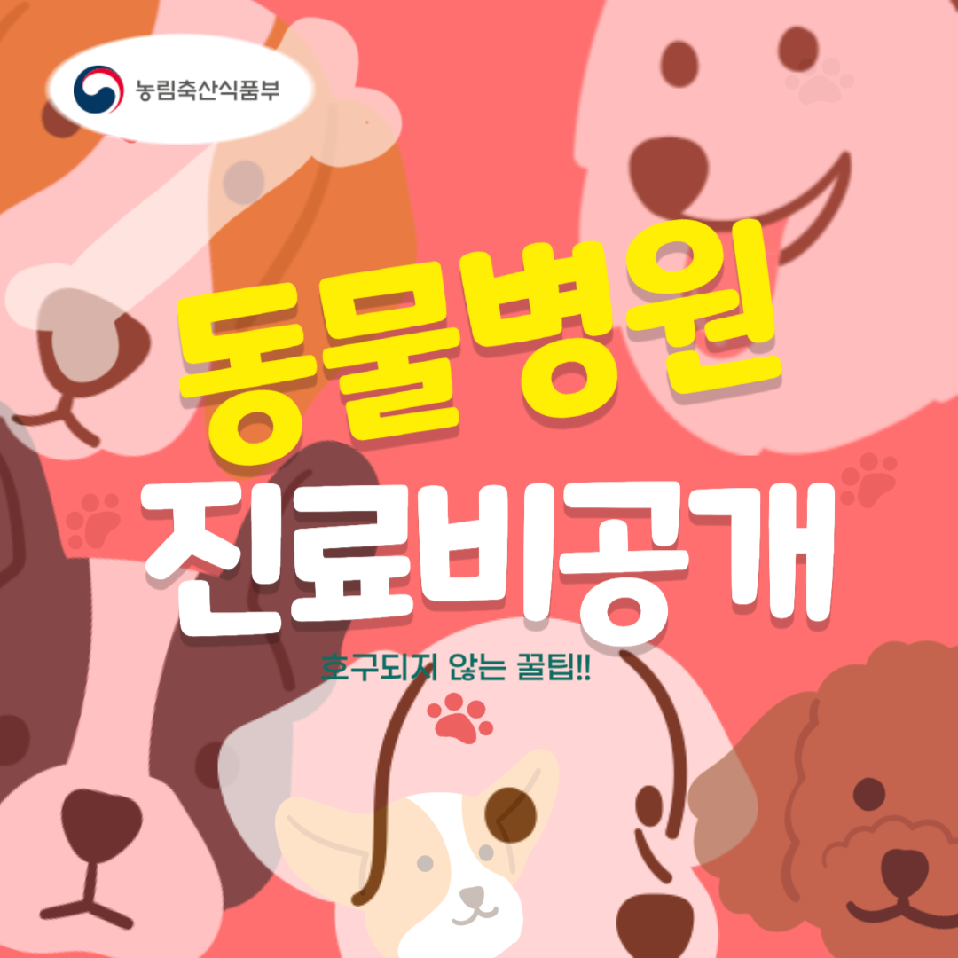 동물병원 진료비 공개