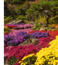 화담숲 예약 화담숲 벚꽃