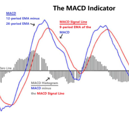 macd보조지표 보는법 알아보기