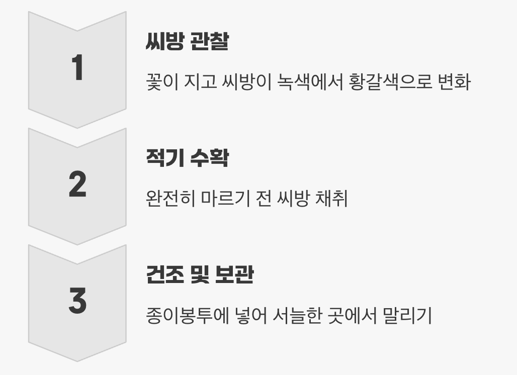 다음 해를 위한 작은 선물&amp;#44; 씨앗 받기