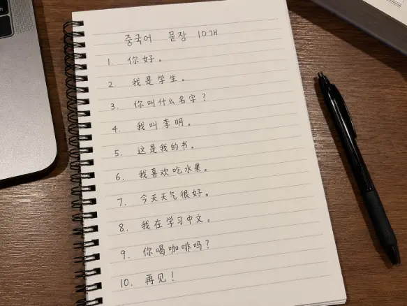 중국어 문장