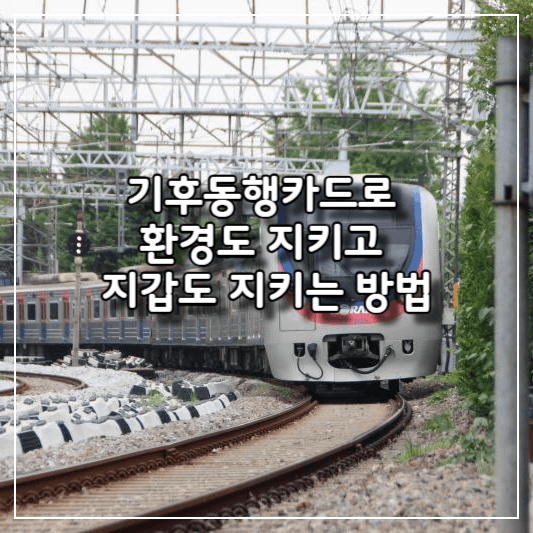 기후동행카드-썸네일