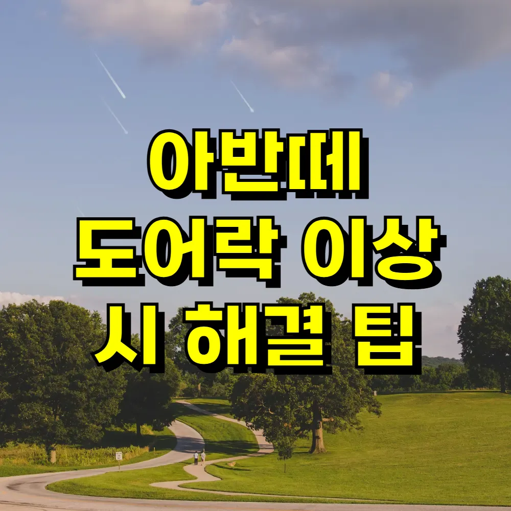 아반떼 도어락 이상 시 해결 팁