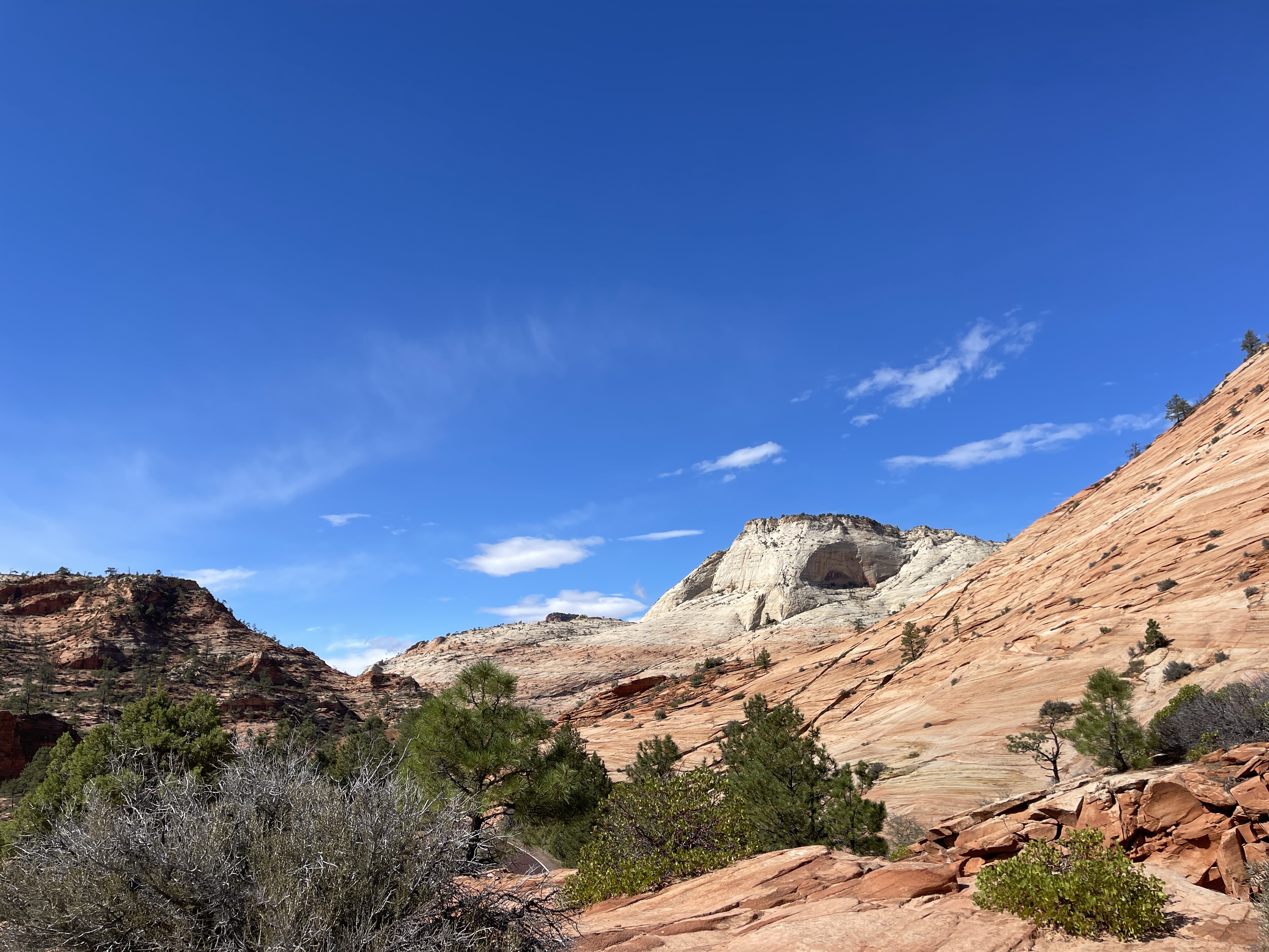 ์ ์ ๋ง์์ง๋ ํ๋