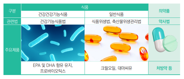 식품과 의약품 비교