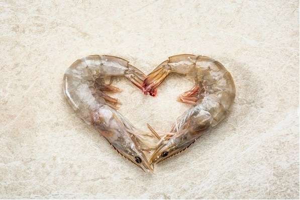 홍성 남당항 대하축제