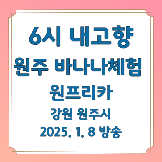 6시 내고향 원주 바나나