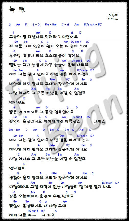 이은미의 녹턴 코드 악보 사진