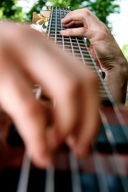 자라섬 페스티벌 2025