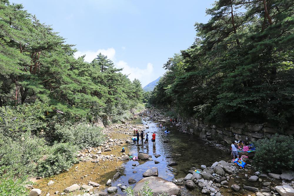충청북도 제천시 월악산국립공원 덕주야영장 소개