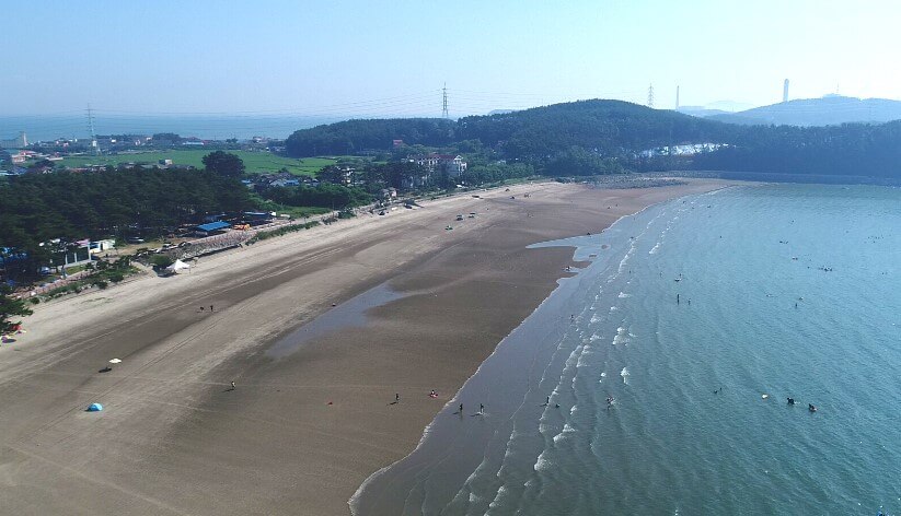 2023 서천동백꽃주꾸미축제