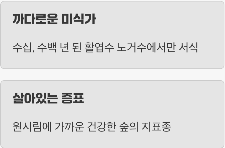 '오래된 숲'의 살아있는 증거