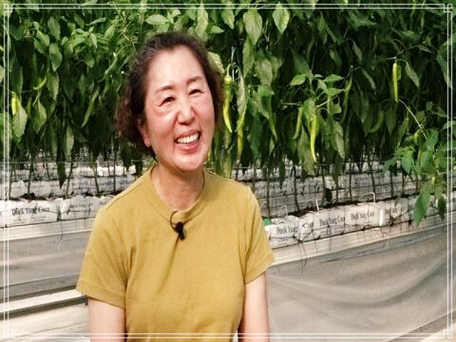 휴먼다큐 사노라면 592회 혈당 조절, 당뇨 잡는 모악산 당조고추 전국 온라인 택배 주문, 열혈 고추 엄마의 딸 부부 길들이기 사연 방송 정보 다시보기