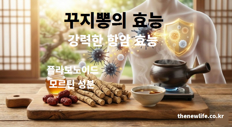 4대 항암 약초로 불리는 꾸지뽕 효능 및 플라보노이드 성분을 설명하는 이미지