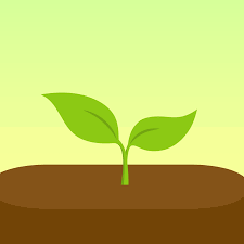 추천 공부 타이머 앱 Forest