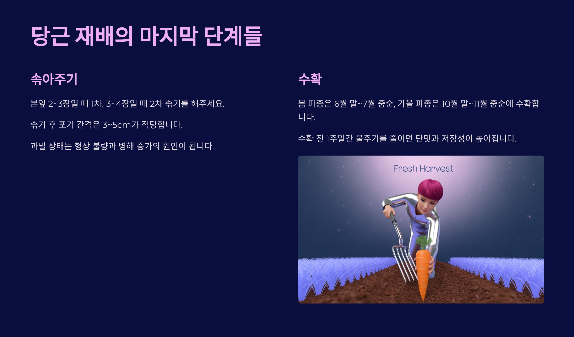 달콤한 결실! 당근 수확 시기와 방법 🥕