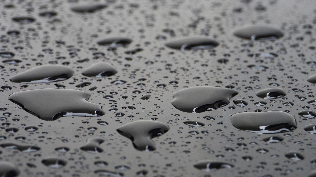 황순원 작가의 소나기 소설 작품 사진