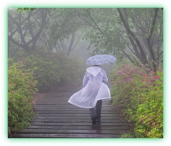 장마철 집안의 습기와 곰팡이 방지&amp;#44; 관리 및 제거 방법