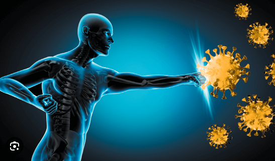 마그네슘 영양제 추천 3 효능 부작용