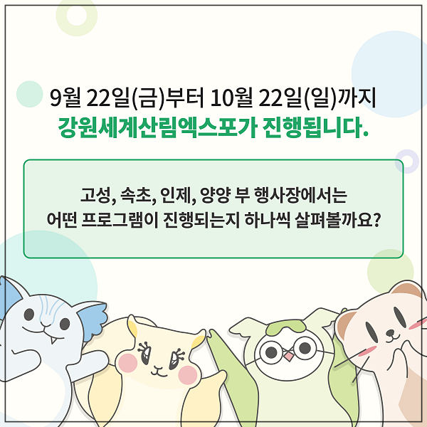 강원세계산림엑스포 축제 행사 
