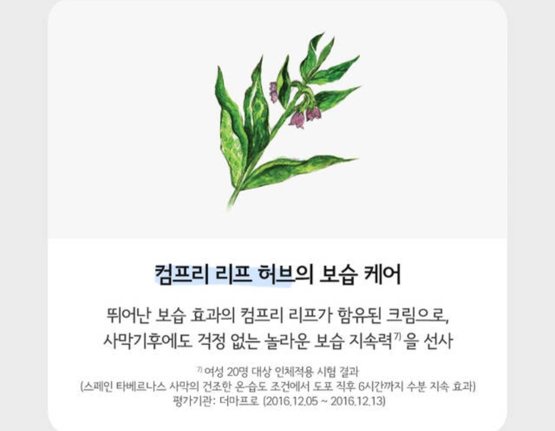 생일선물