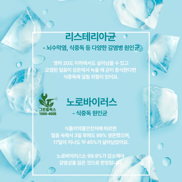 리스테리아균 노로바이러스