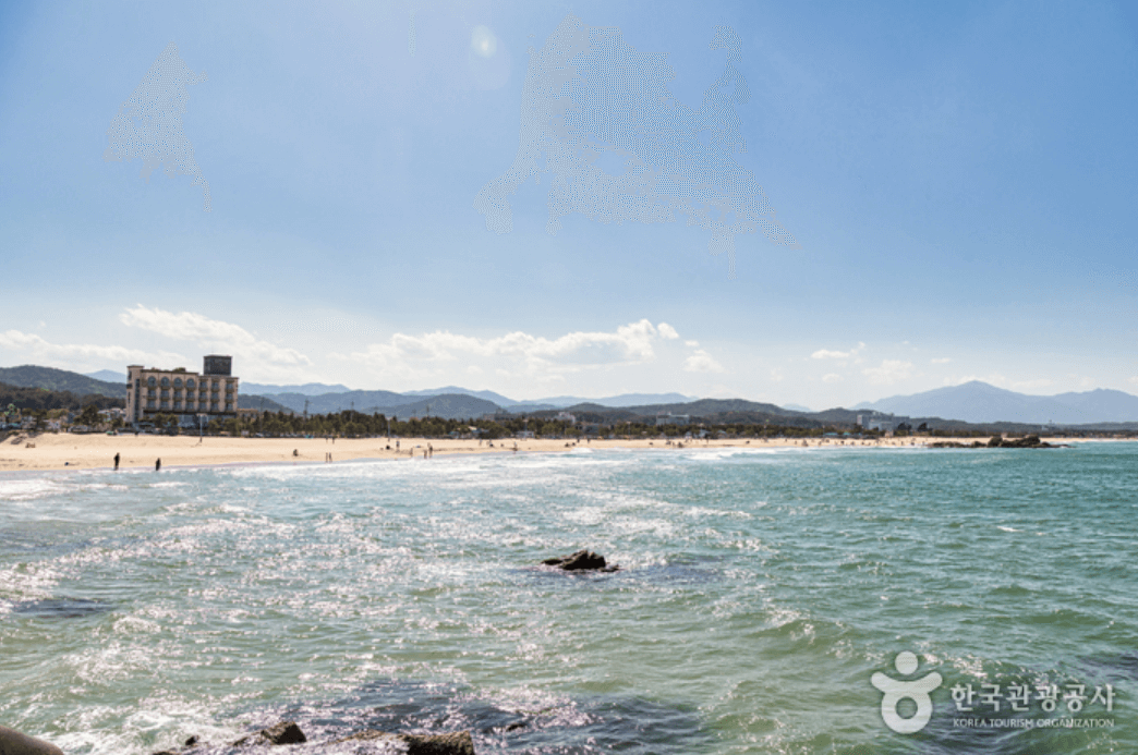 하조대 해수욕장 (양양)