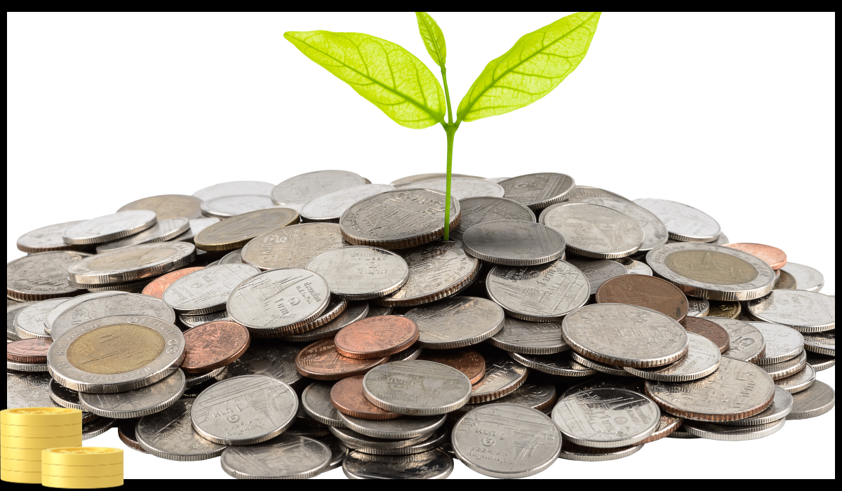 재난적의료비지원