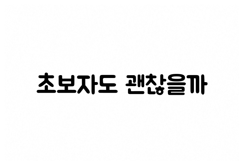 초보자도 괜찮을까