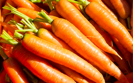 주황빛의 맛있는 당근 여러개