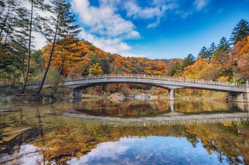 오대산-국립공원