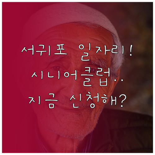 서귀포 지역 어르신 일자리 정보와 시..