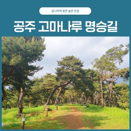 공주고마나루사진