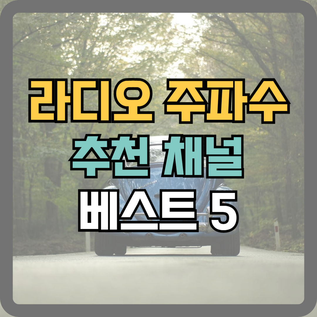 라디오 주파수 추천 인기 채널 best5