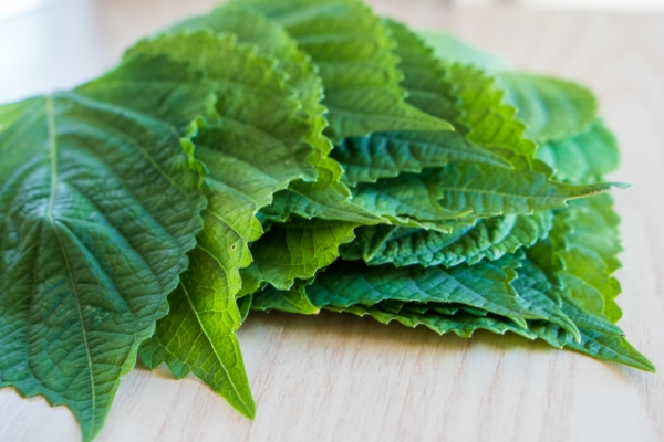 깻잎이란 어떤 채소인가요?