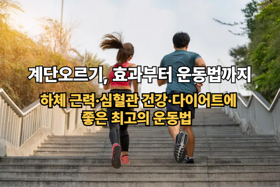 계단오르기, 효과부터 운동법까지: 하체 근력·심혈관 건강·다이어트에 좋은 최고의 운동법