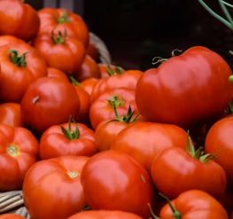 나트륨 배출에 좋은 음식 방법 몸속 돕는 칼륨