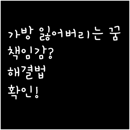 가방 잃어버리는 꿈 책임감 해석과 해..