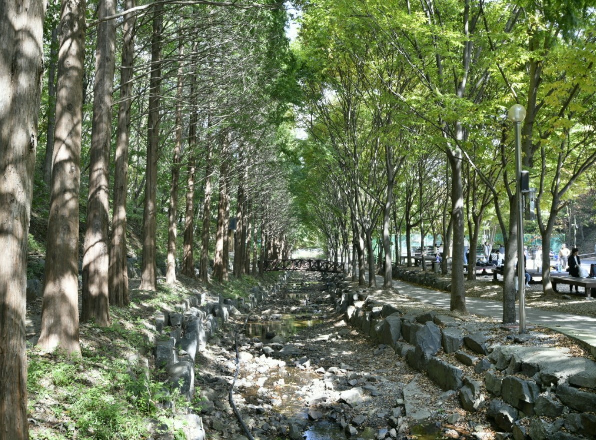 칠갑산-자연휴양림