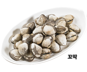 11월 제철 꼬막