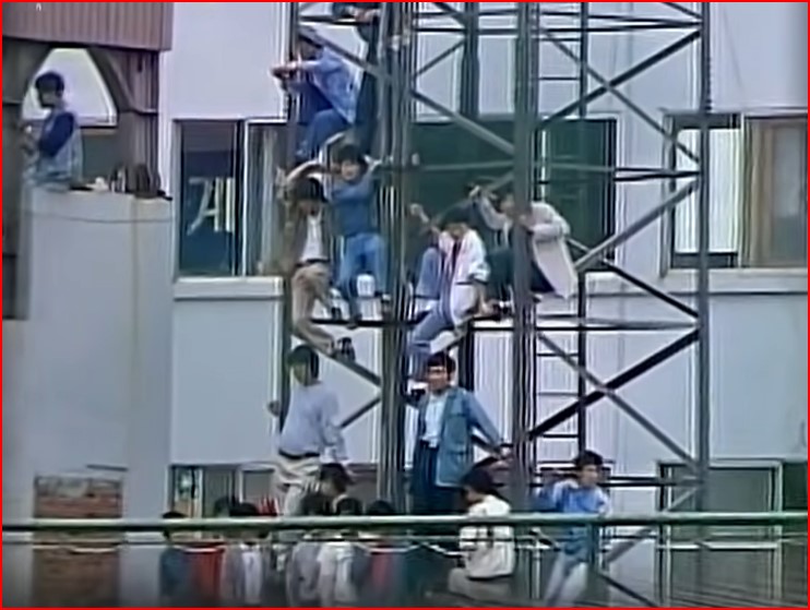 송전탑 위에서 야구경기를 지켜보는 인천시민들