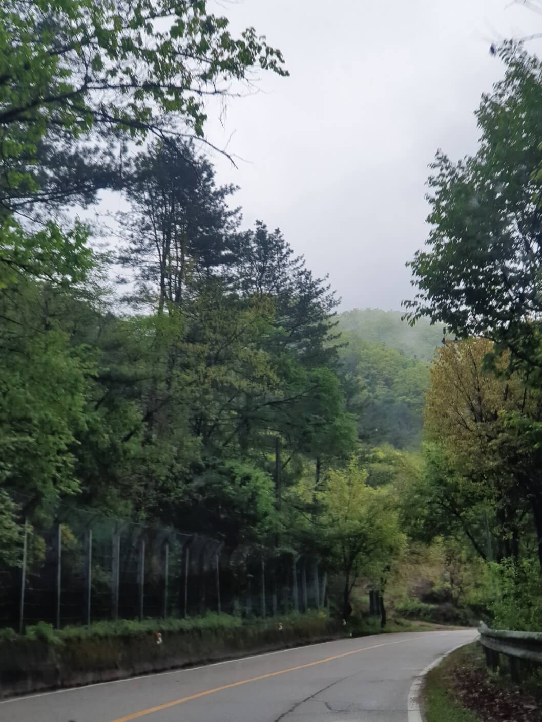 경기도 가평 캠핑장1