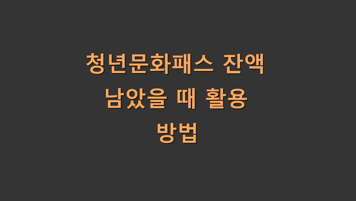 청년문화패스 잔액 남았을 때 활용 방법