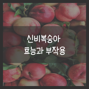 신비복숭아 효능과 부작용
