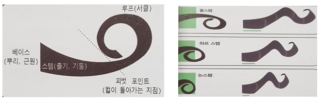 헤어 컬링
