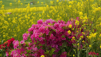 가정의 달 5월, 가족과 함께 떠나기 좋은 국내 여행지 추천 7곳