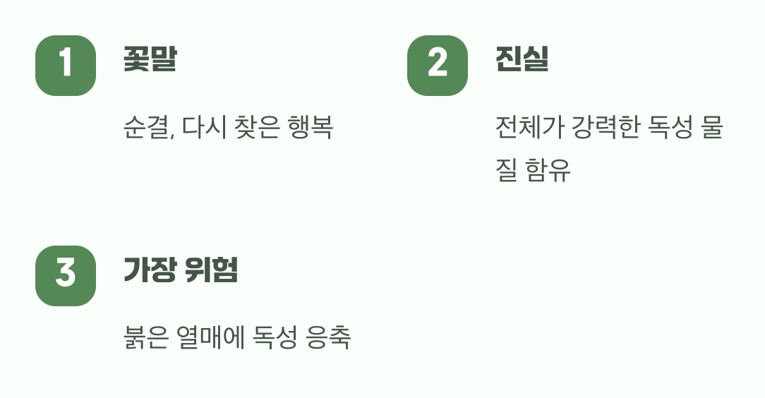아름다움 속에 숨겨진 진짜 얼굴